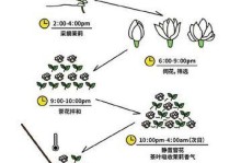 匠心工艺，玩转进阶——以匠木第三章为例的游戏教学（15个段落详解如何在游戏中掌握进阶技巧）