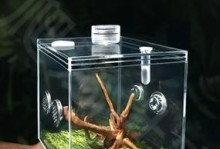 《玩转螳螂沙盘，掌握装备攻略》（探索螳螂沙盘装备搭配的奥秘，提升游戏竞技实力）