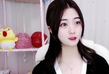 国服毒药出装攻略（解析毒药出装策略，带你成为绝世毒王）
