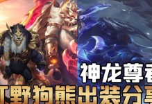 神龙尊者（打造无敌阵容，征服全场）