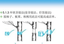 匠木进阶教学：以游戏为主打，提升木工技艺的关键