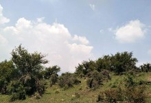 童子赵云苍穹出装攻略（无敌青龙，翻云覆雨，全场无解！）