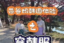 DNF手游韩服攻略（揭秘最全攻略，让你成为顶级玩家）