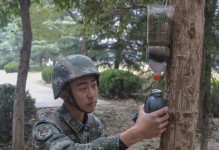 新战友技能加点攻略（提高团队配合，实现战略目标的有效方法）
