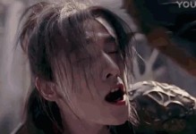 《天龙手游攻略大全》（天龙手游攻略，让你轻松登顶武林宝座！）