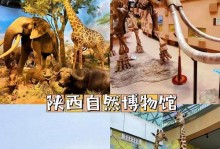 避坑指南——古代乡村人生实用经验（15个段落，助你走出古代乡村的陷阱）