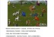 英雄无敌3手游地狱流攻略（通过强大的英雄阵容与技巧，成为地狱流玩家必备的攻略秘籍）