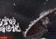 暖雪攻略（为你打造最强门派技能配置方案）